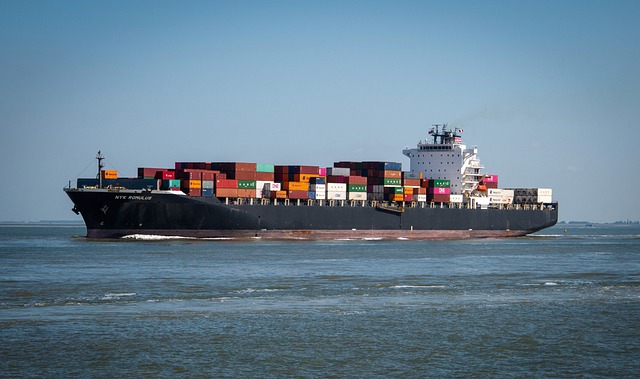 Container ship on the sea